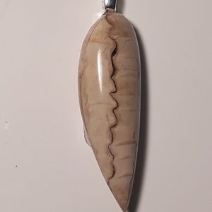 Petrified Wood